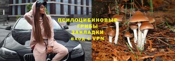 сатива Алексин