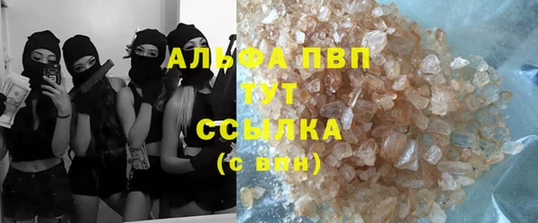 спайс Алзамай