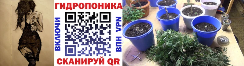 как найти наркотики  Артёмовск  kraken вход  Канабис Ganja 